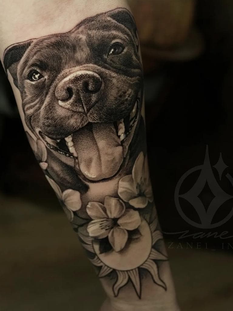 Imagen principal del articulo